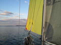IMG_4397.JPG, mar. 2015
